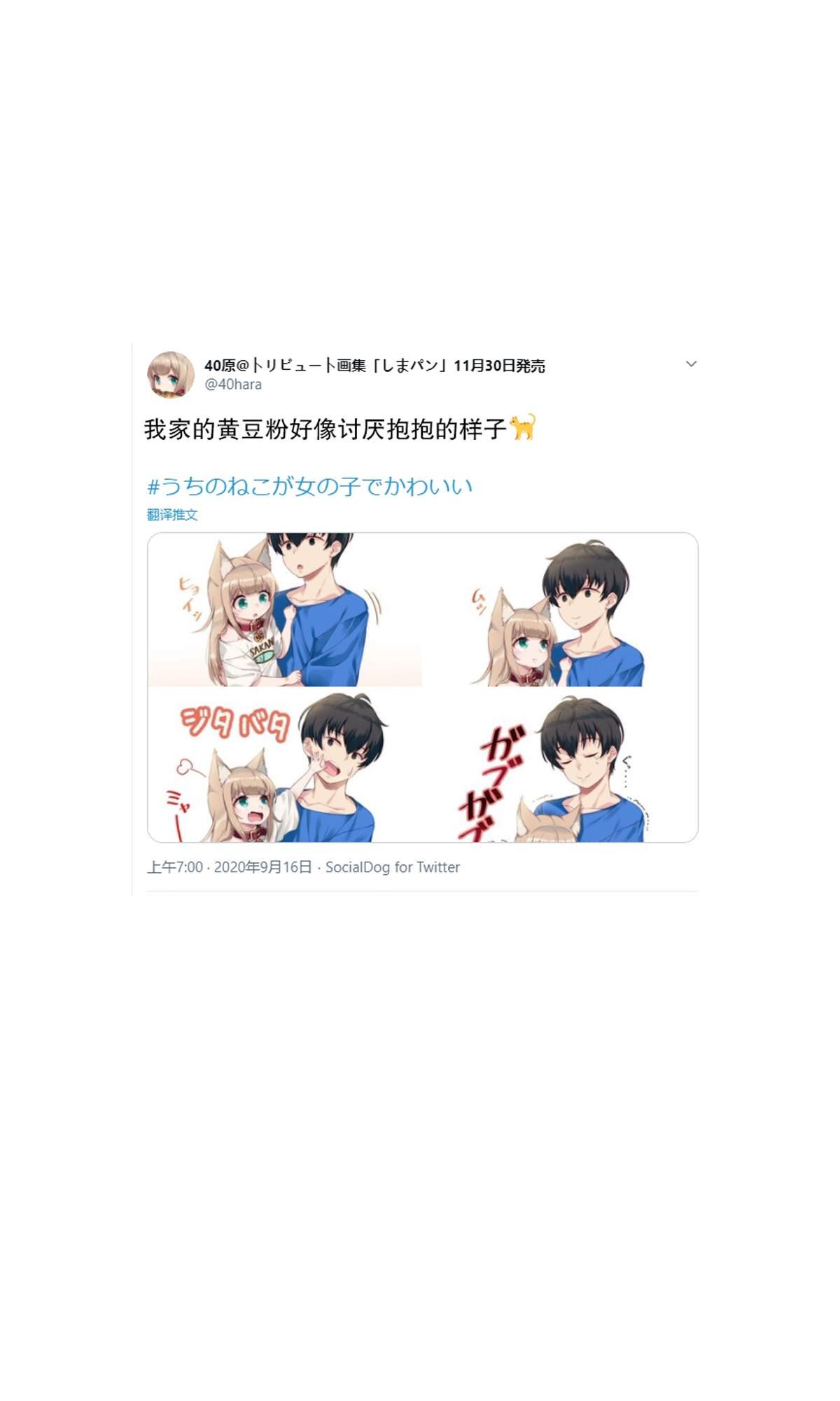 杂图6