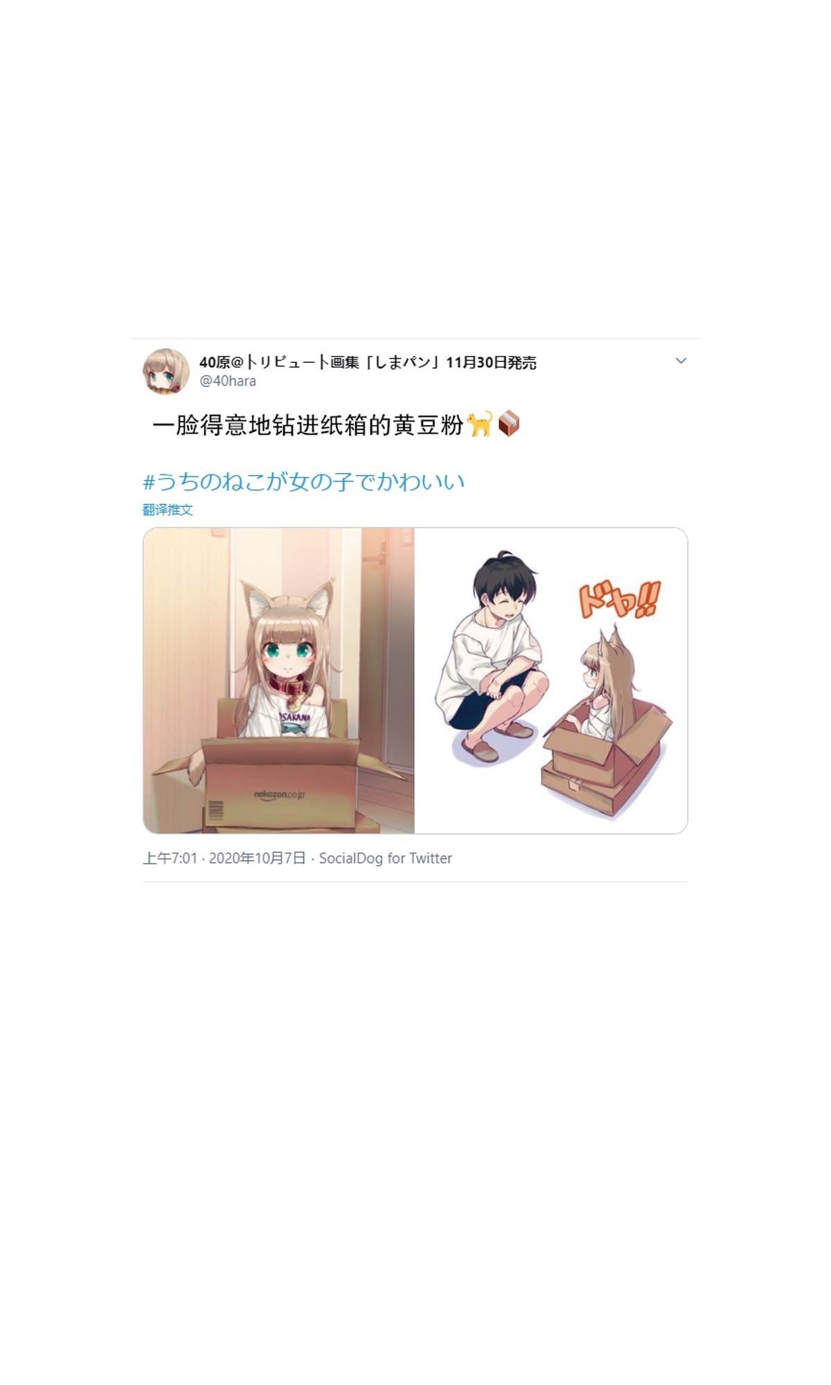 杂图6