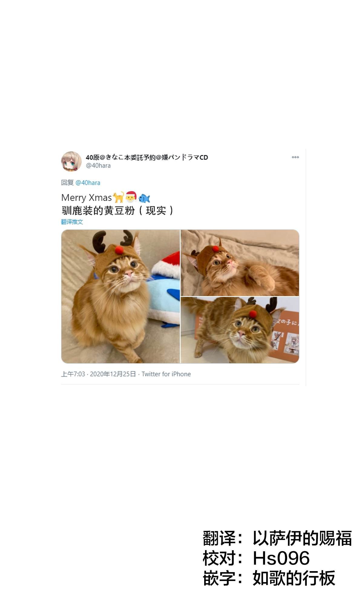 杂图7