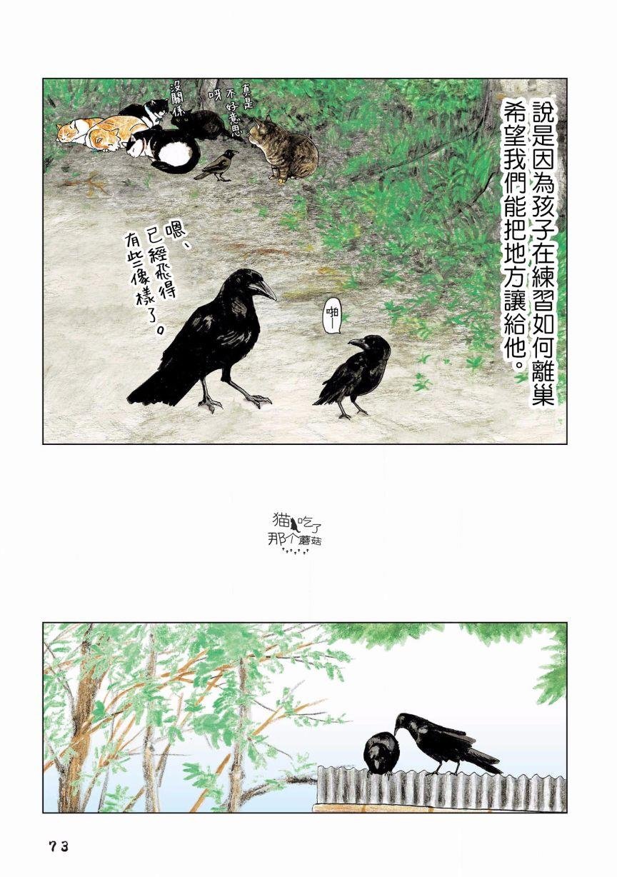 第109话