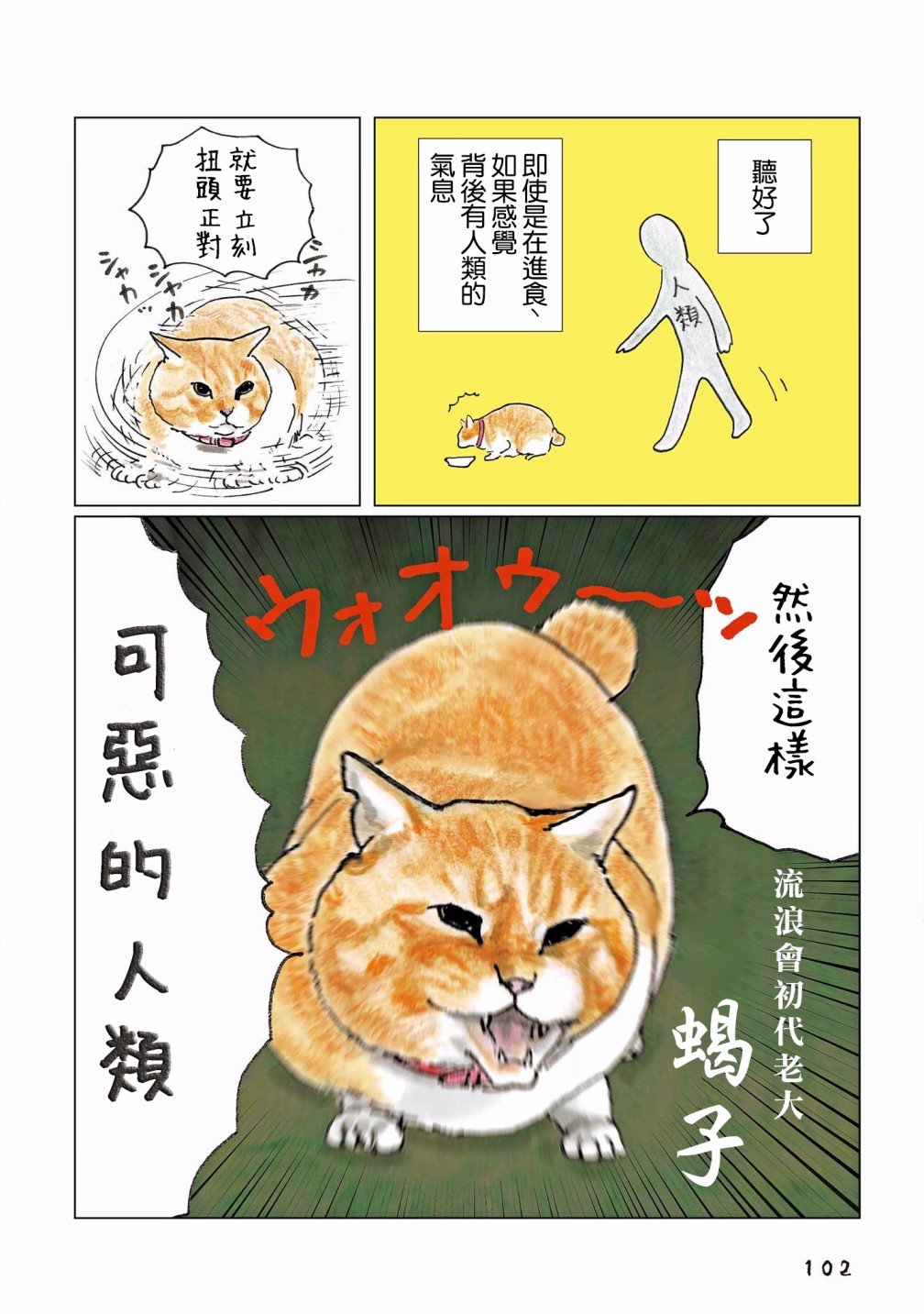 第117话