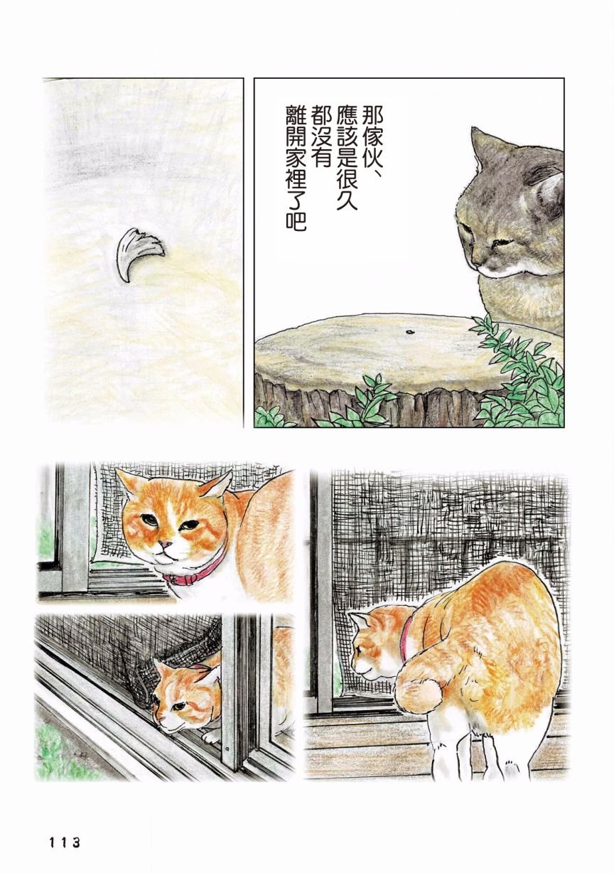 第120话