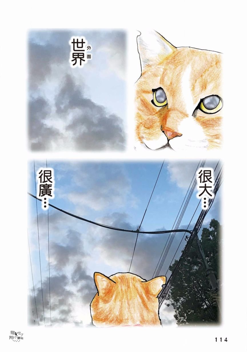 第120话