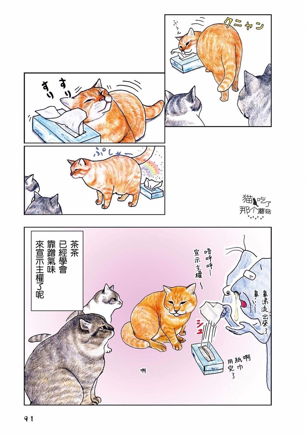 第31话