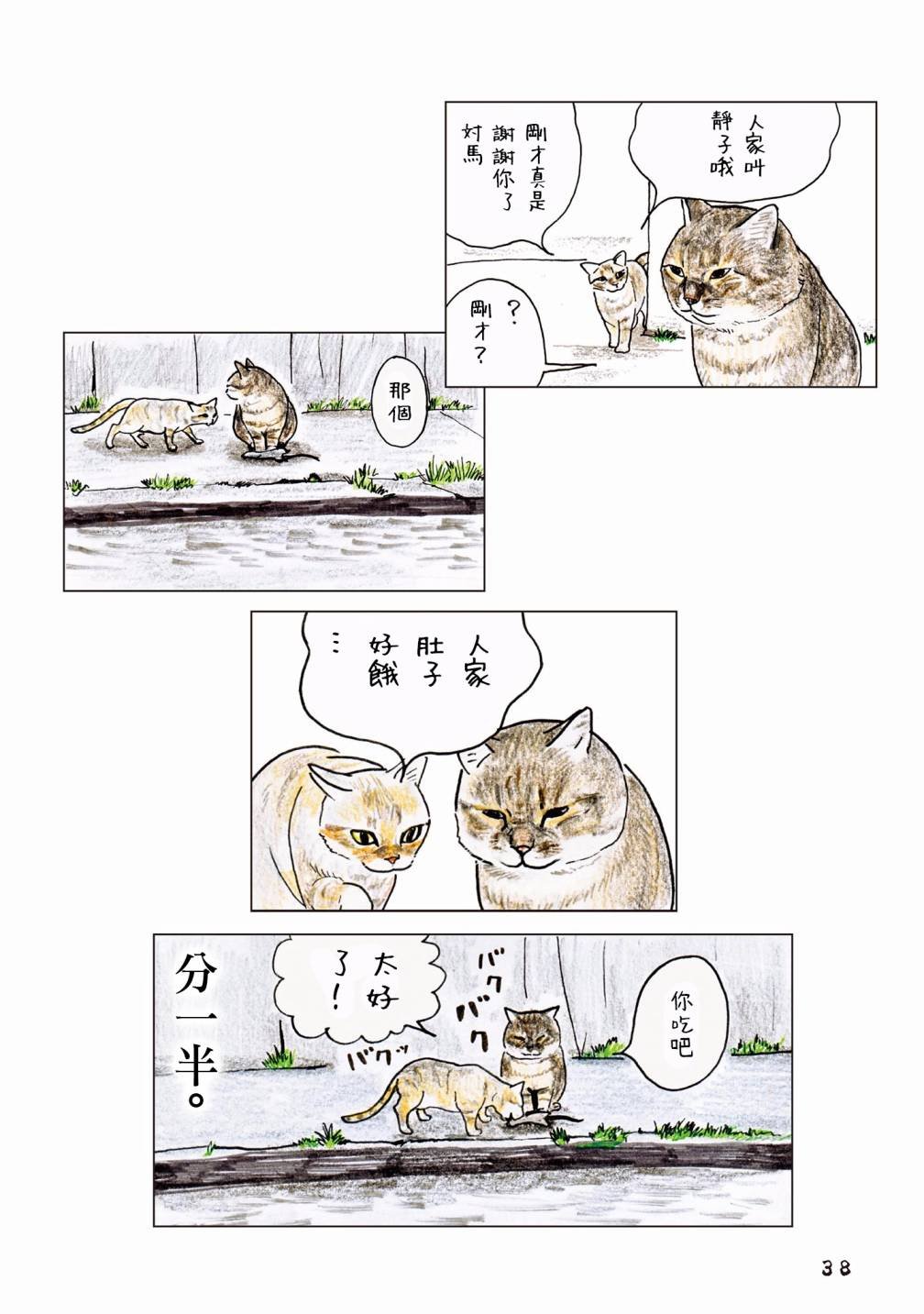 第55话