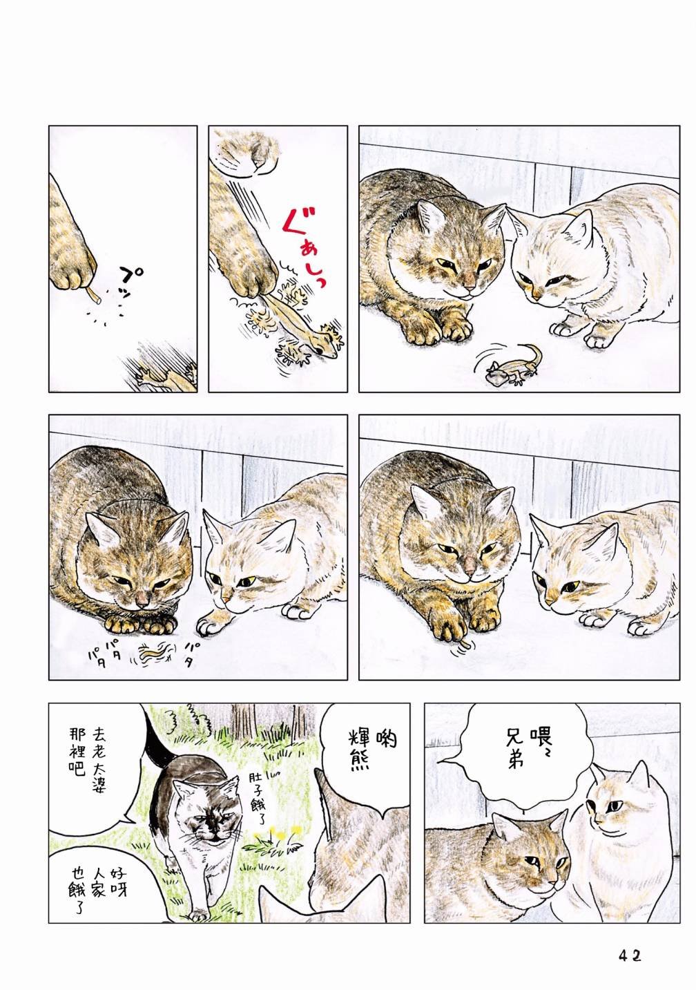 第55话