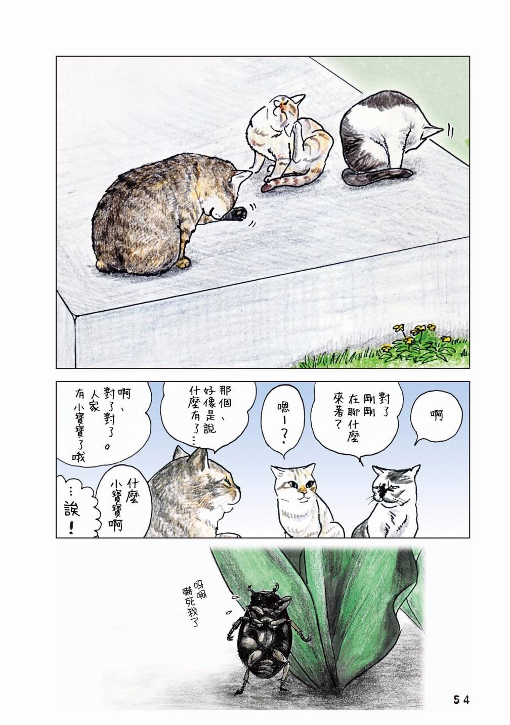 第55话
