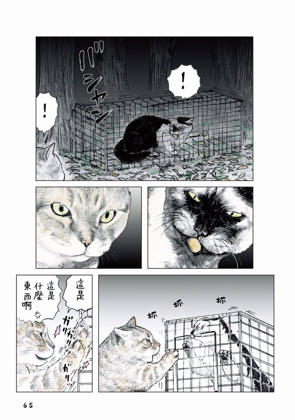 第55话