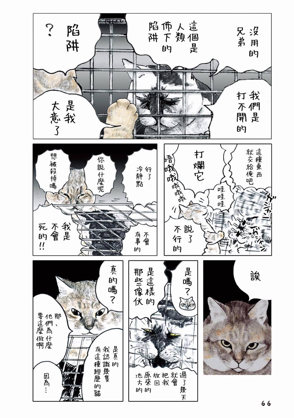 第55话