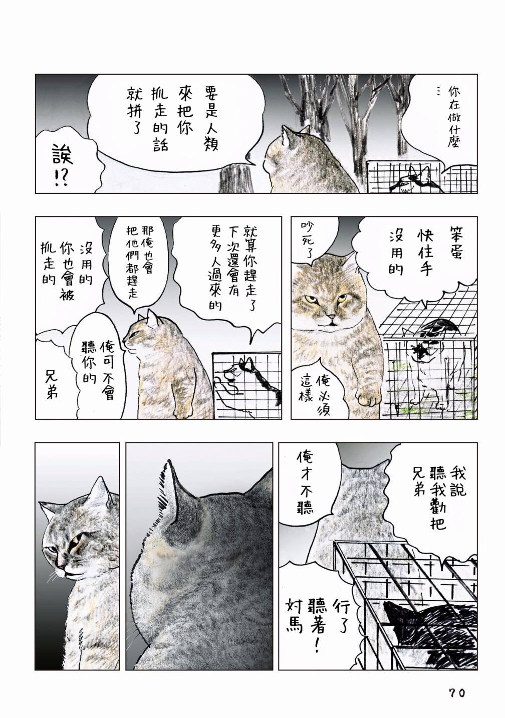 第55话