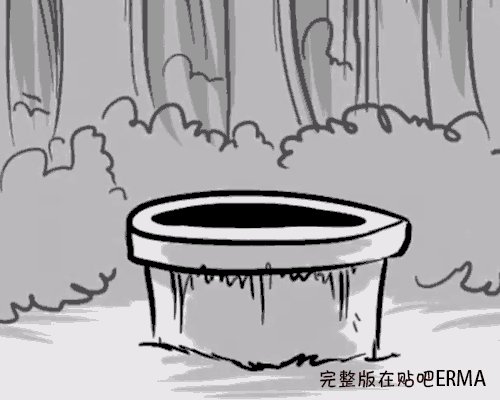 动图5
