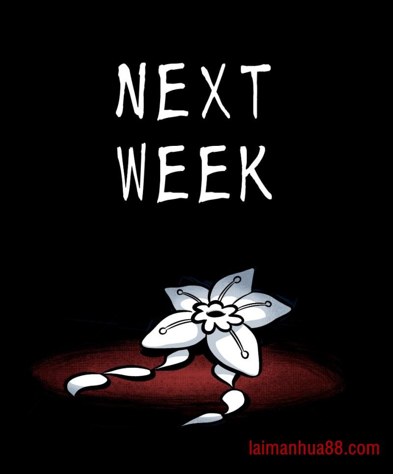 2022周和生日