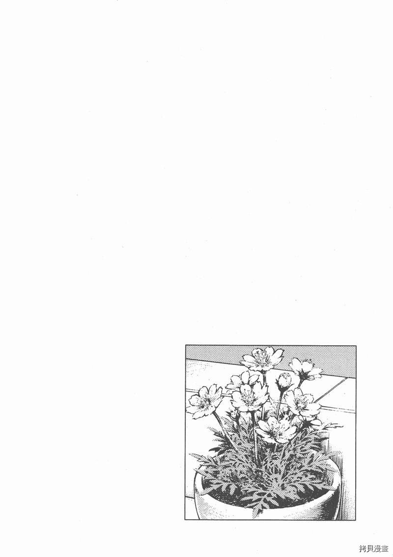 第26卷