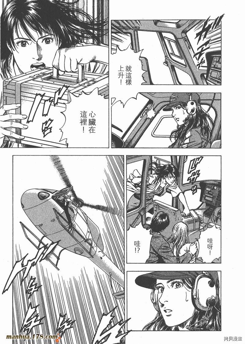 第31卷