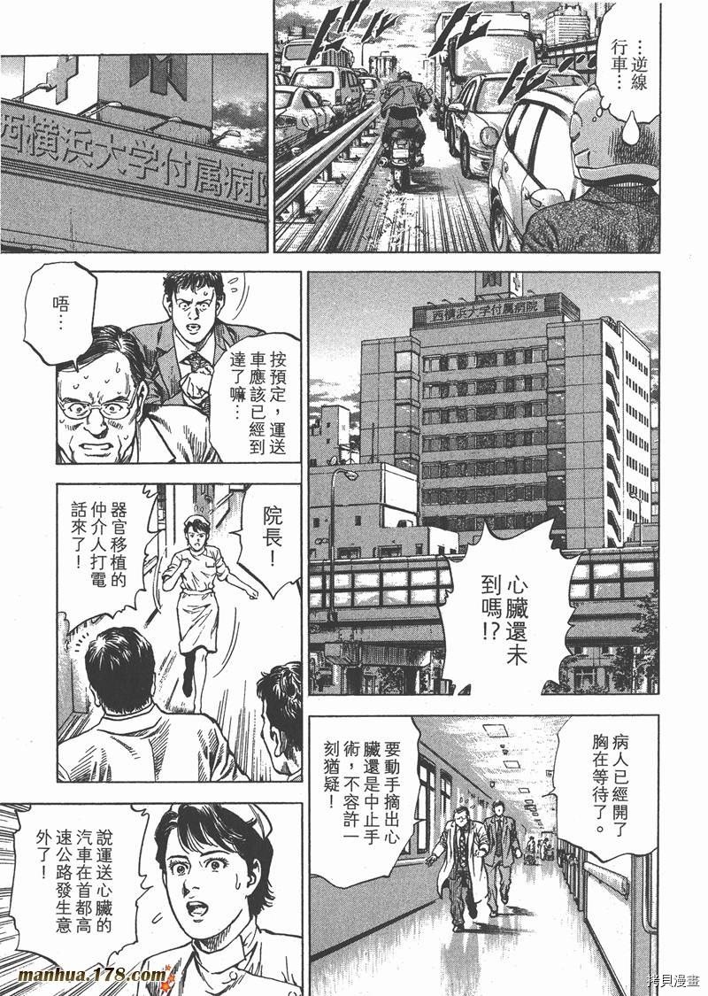 第31卷