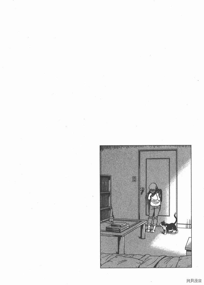 第31卷