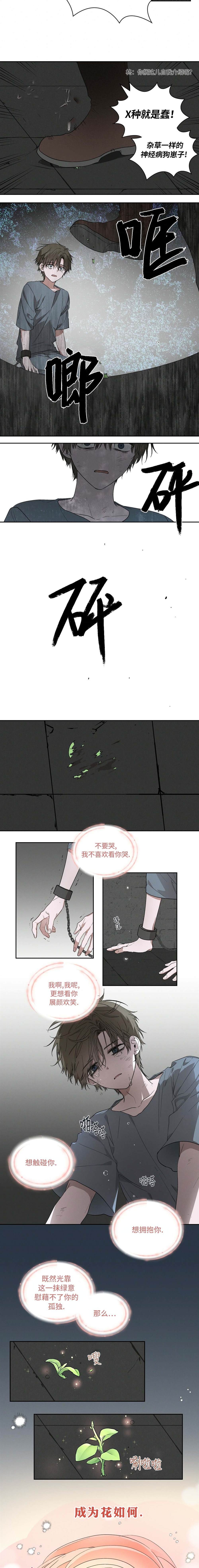 宣传漫