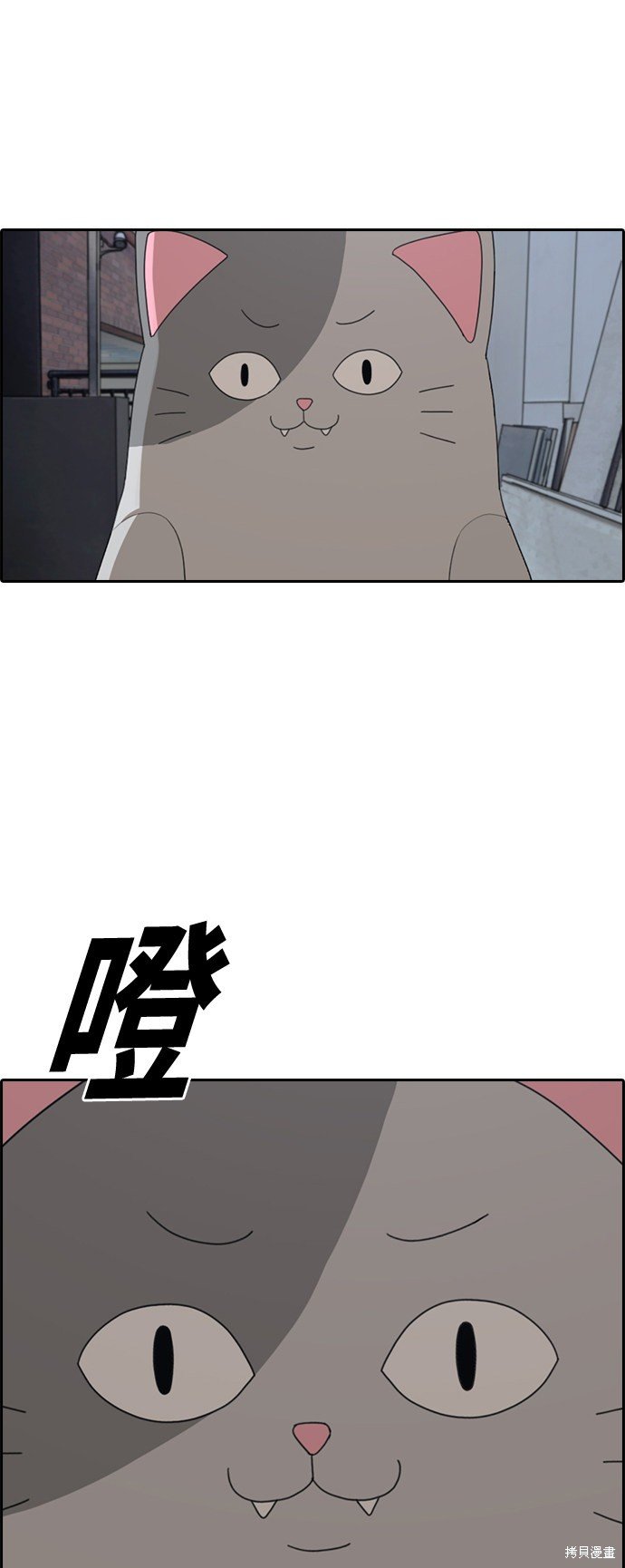 第307话