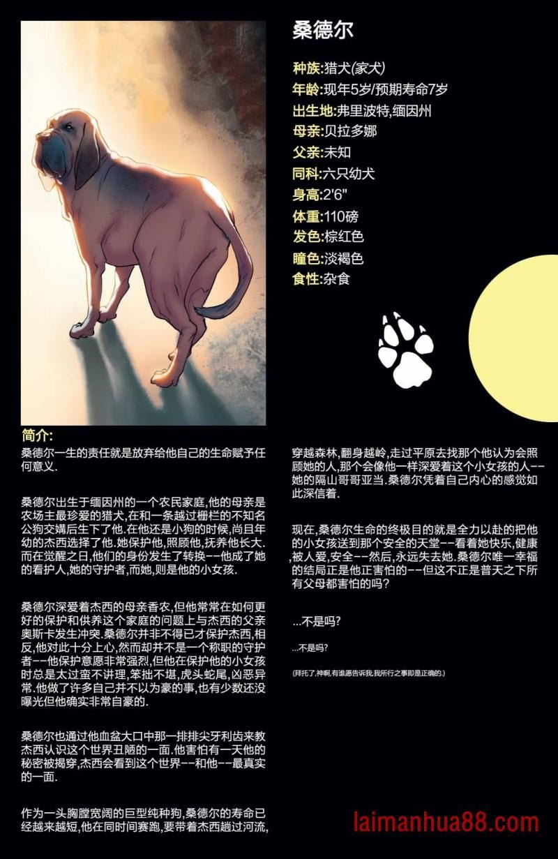 世界观