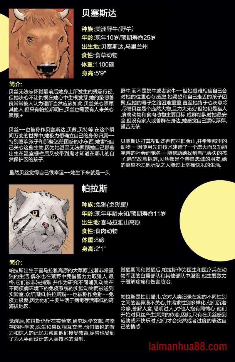 世界观