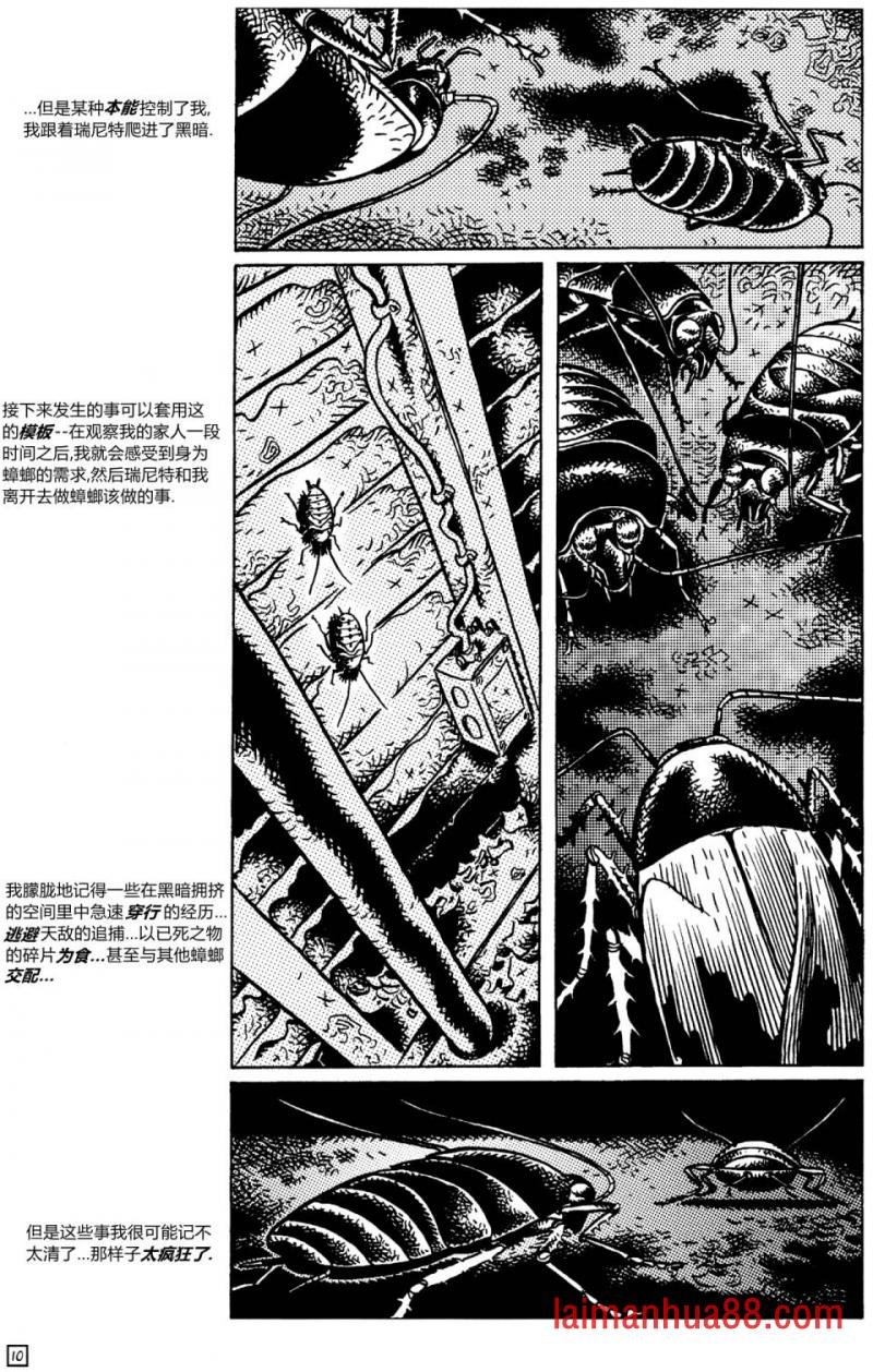第22卷