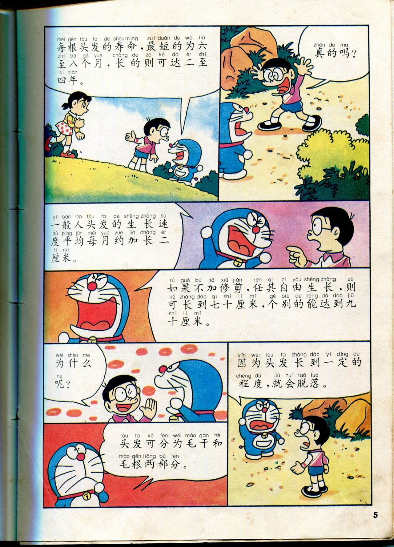 自然小百科