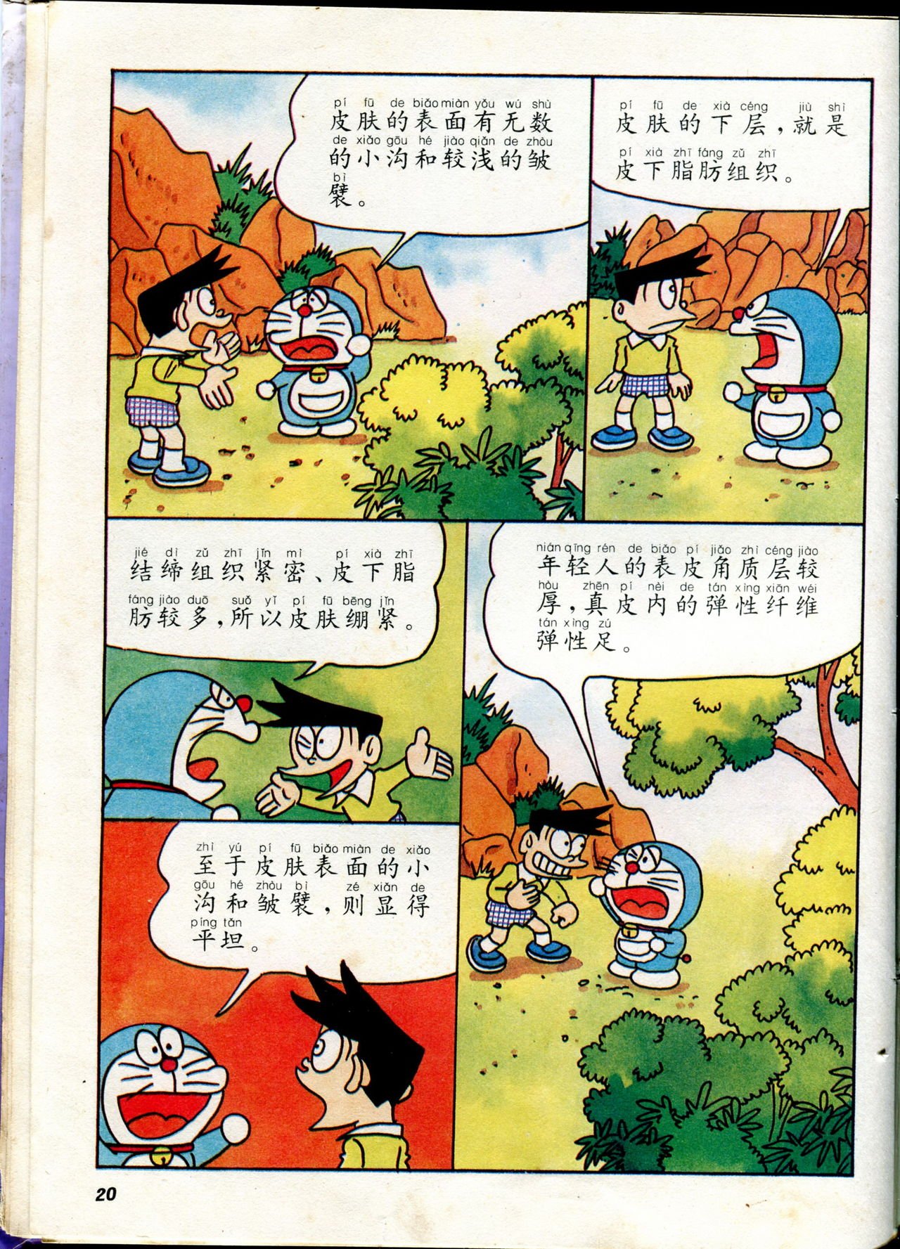 自然小百科
