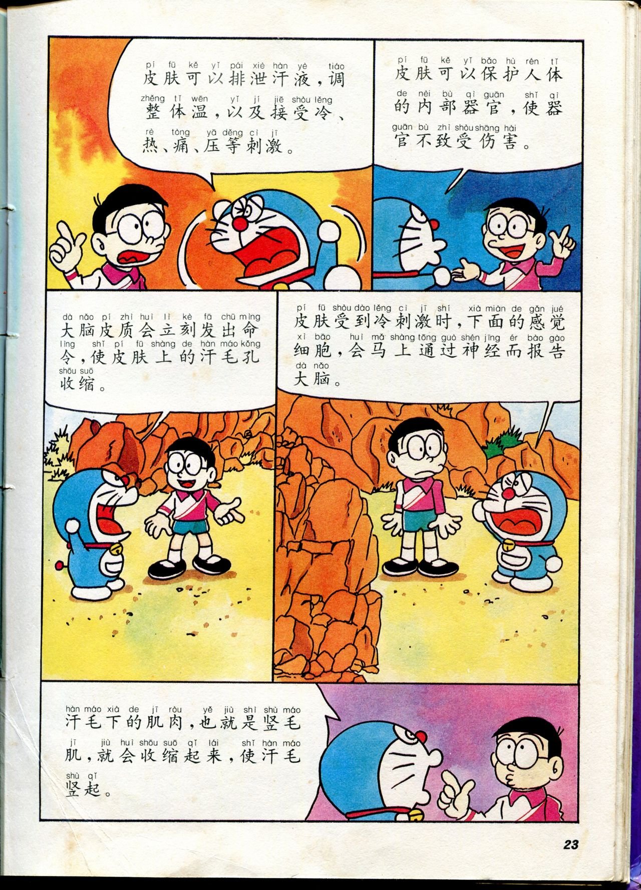 自然小百科