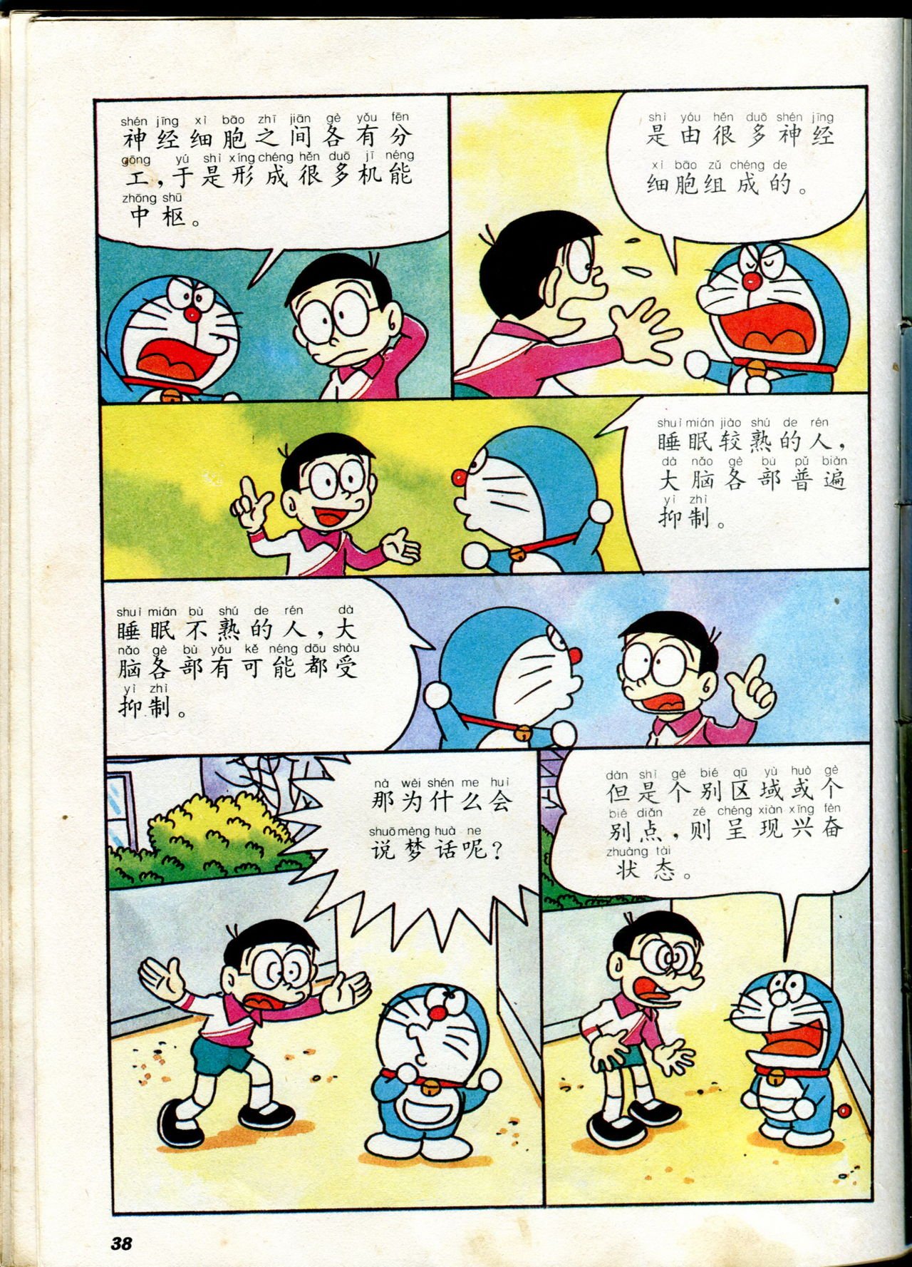 自然小百科