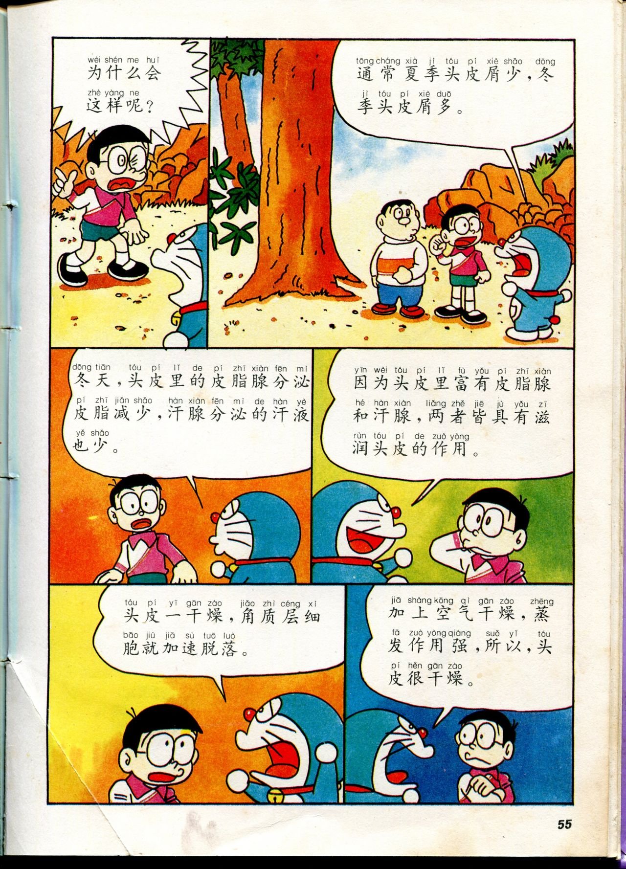自然小百科