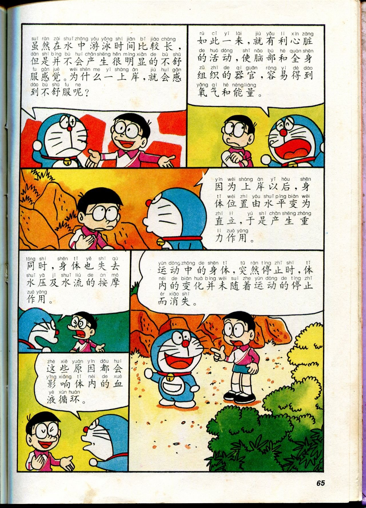 自然小百科