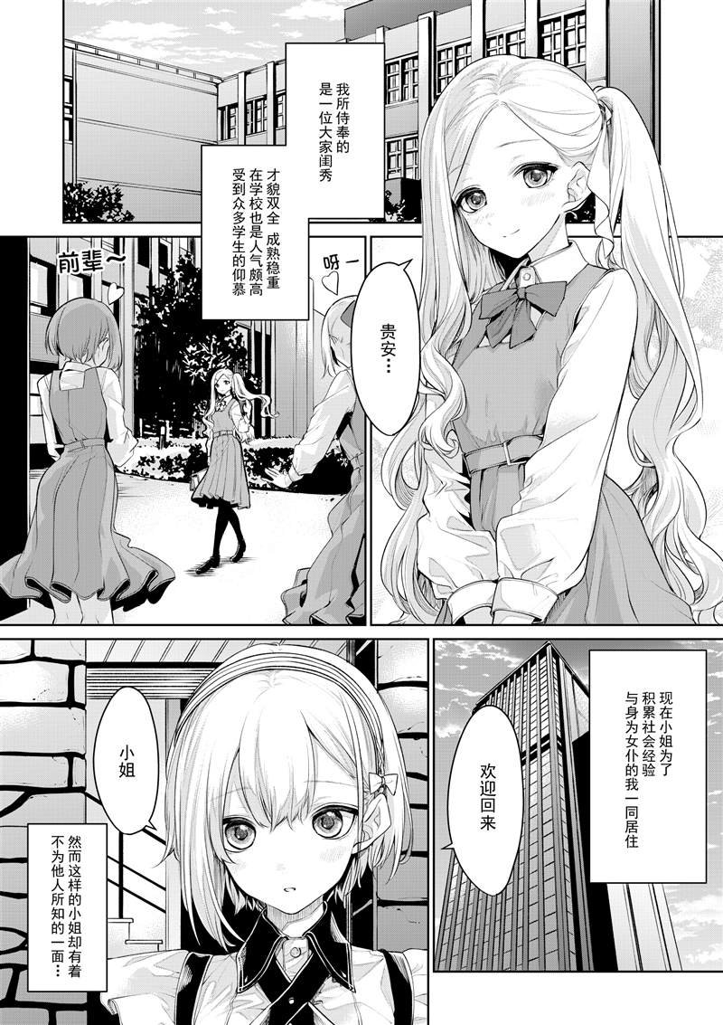 お嬢様とメイドさん2