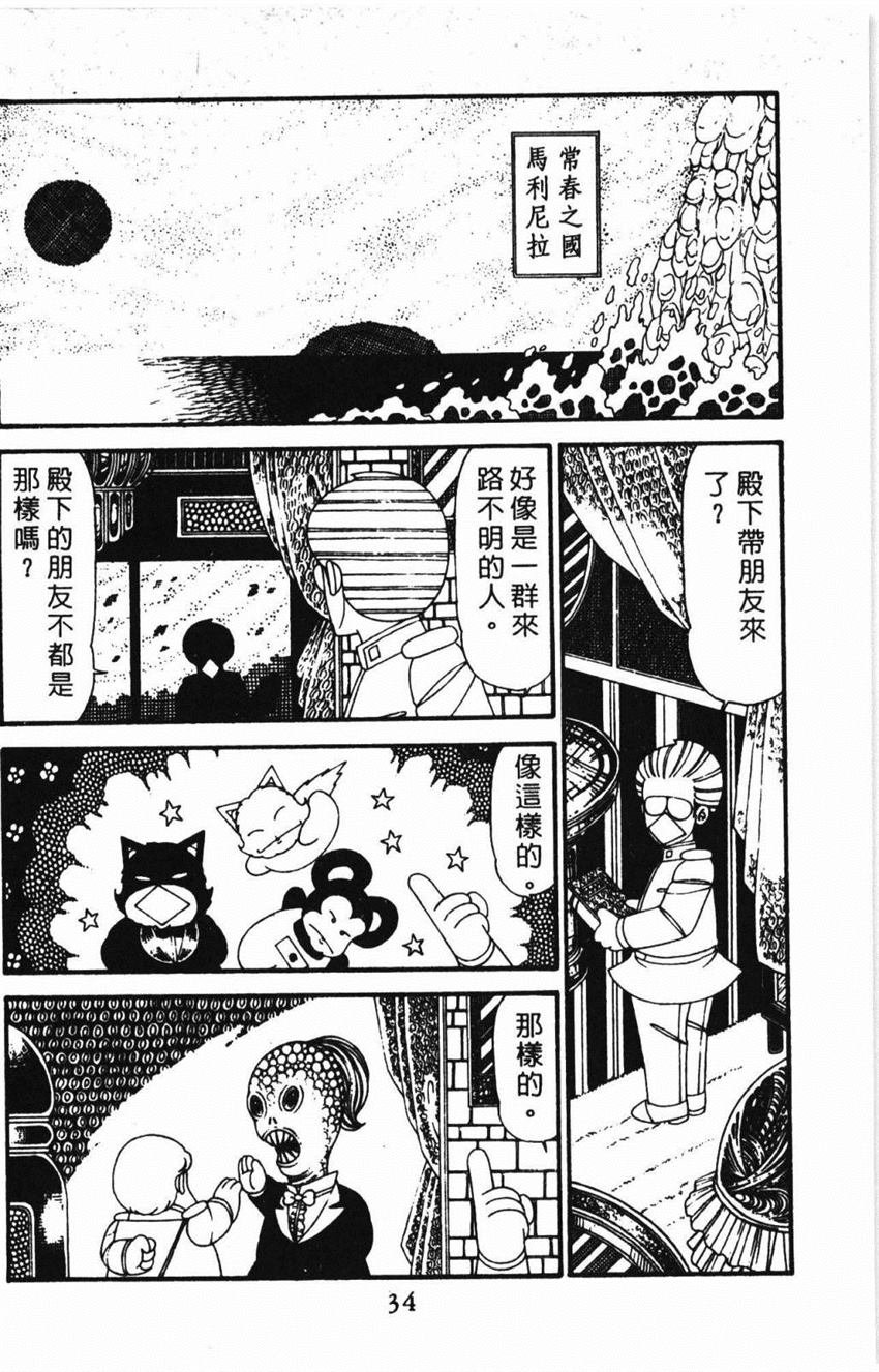 第31卷