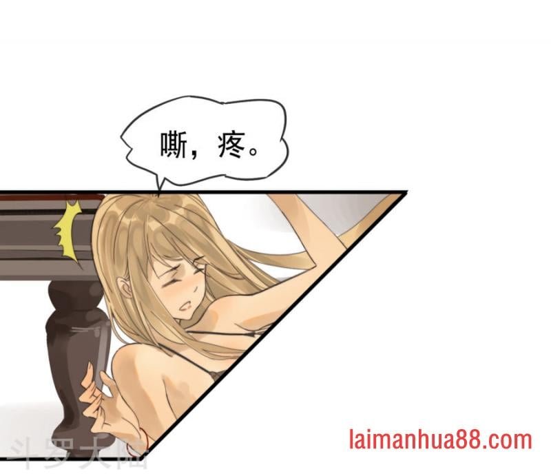 预告
