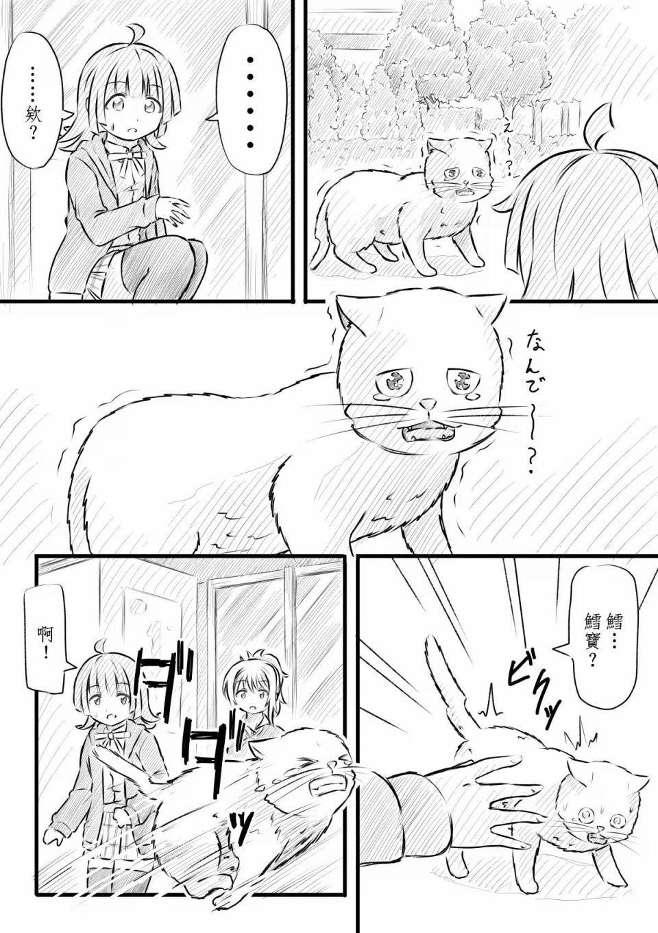 悲伤鳕宝