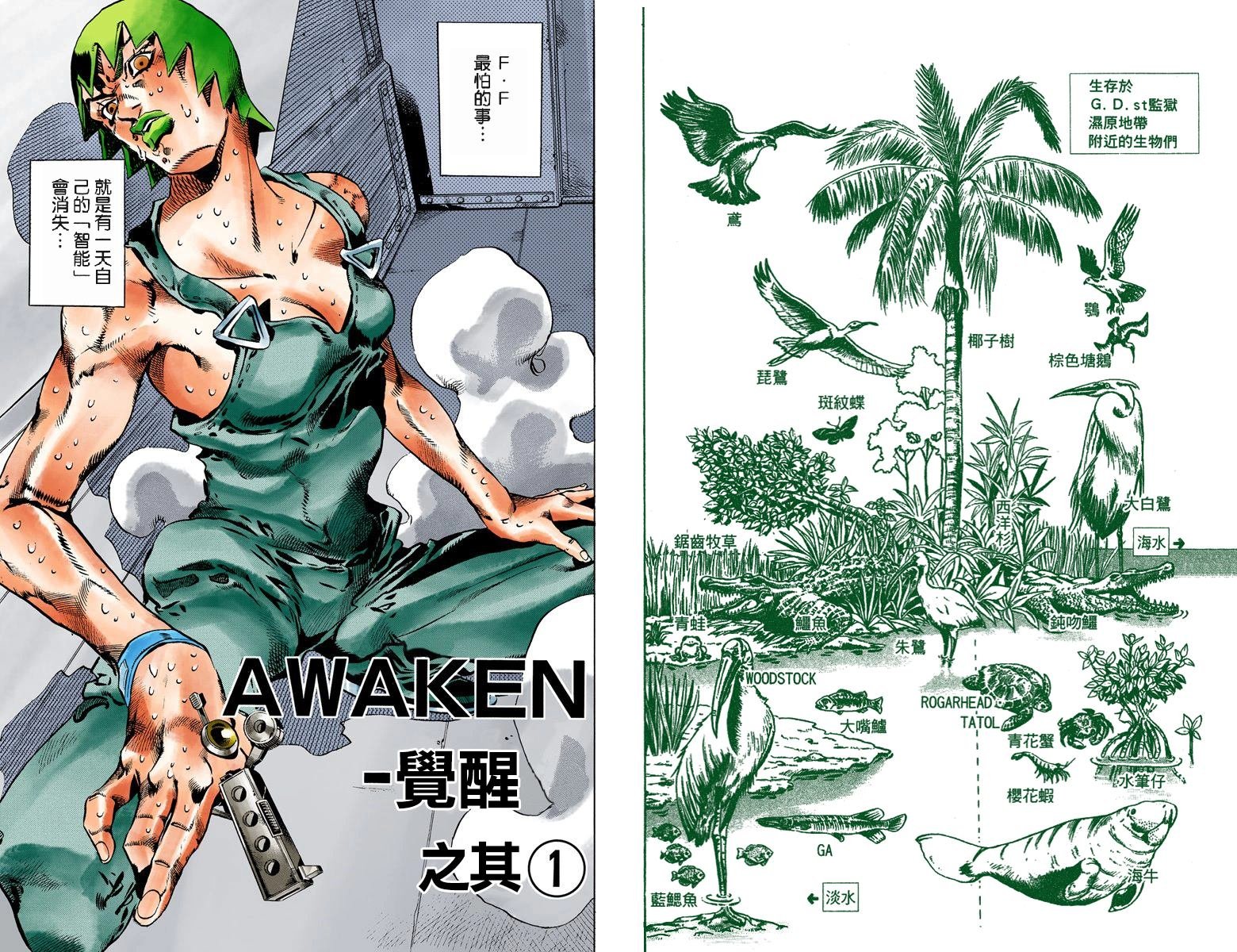 第6部10卷全彩