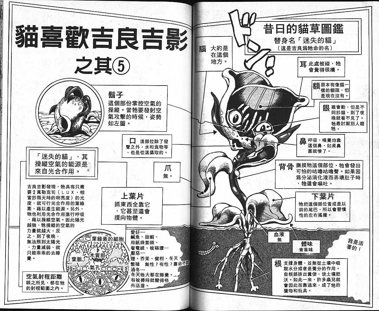 第42卷
