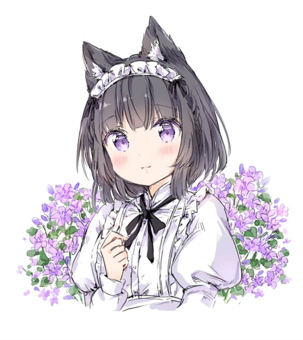 散图集