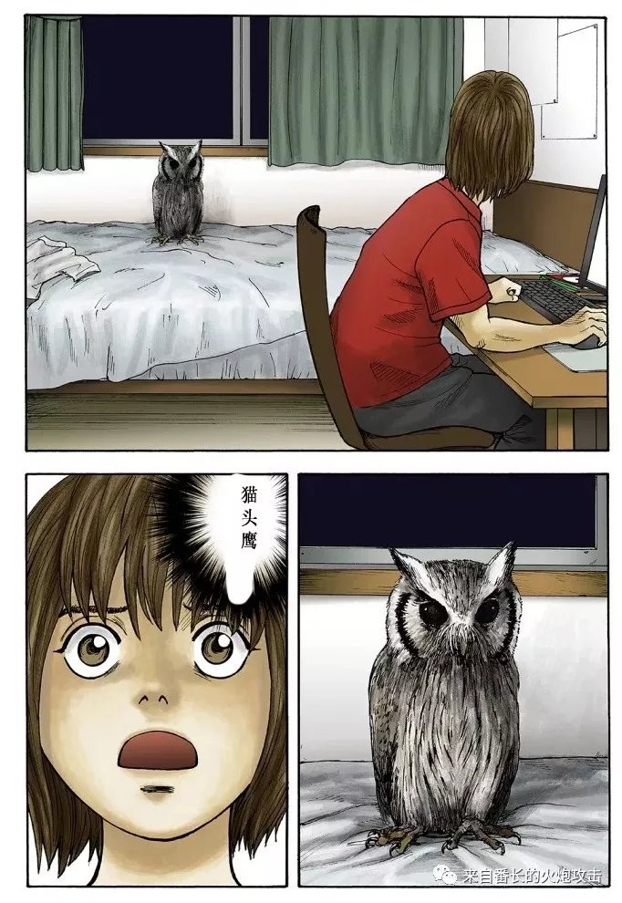 前篇