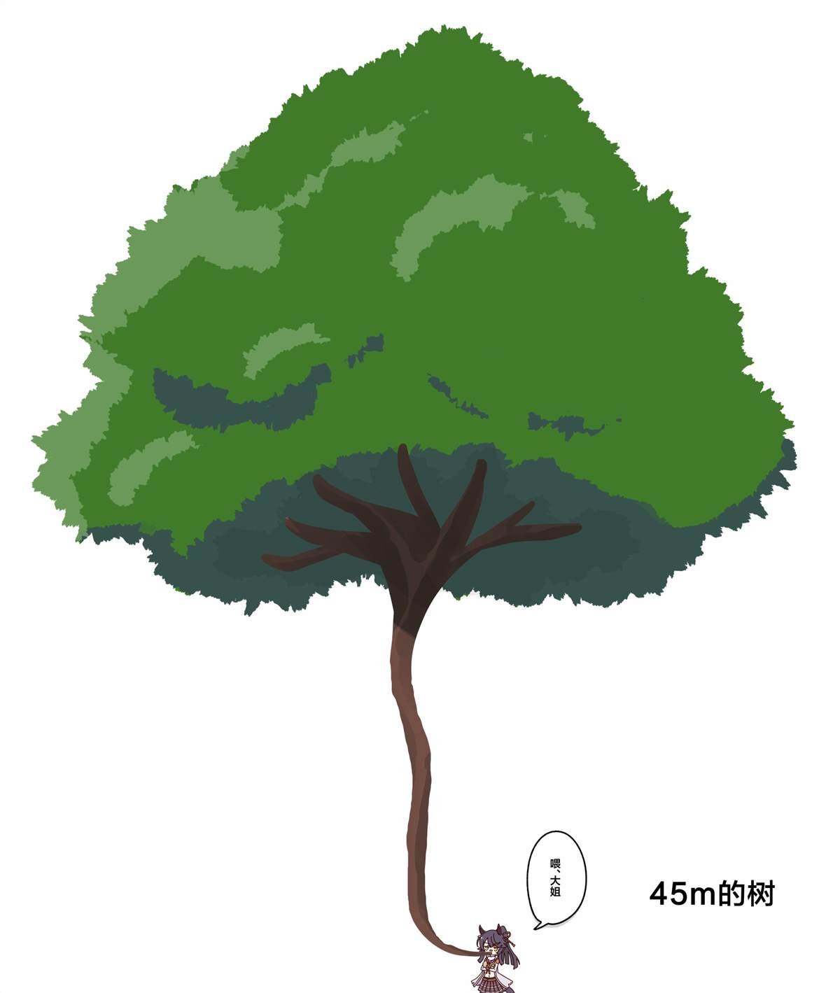 杂图3