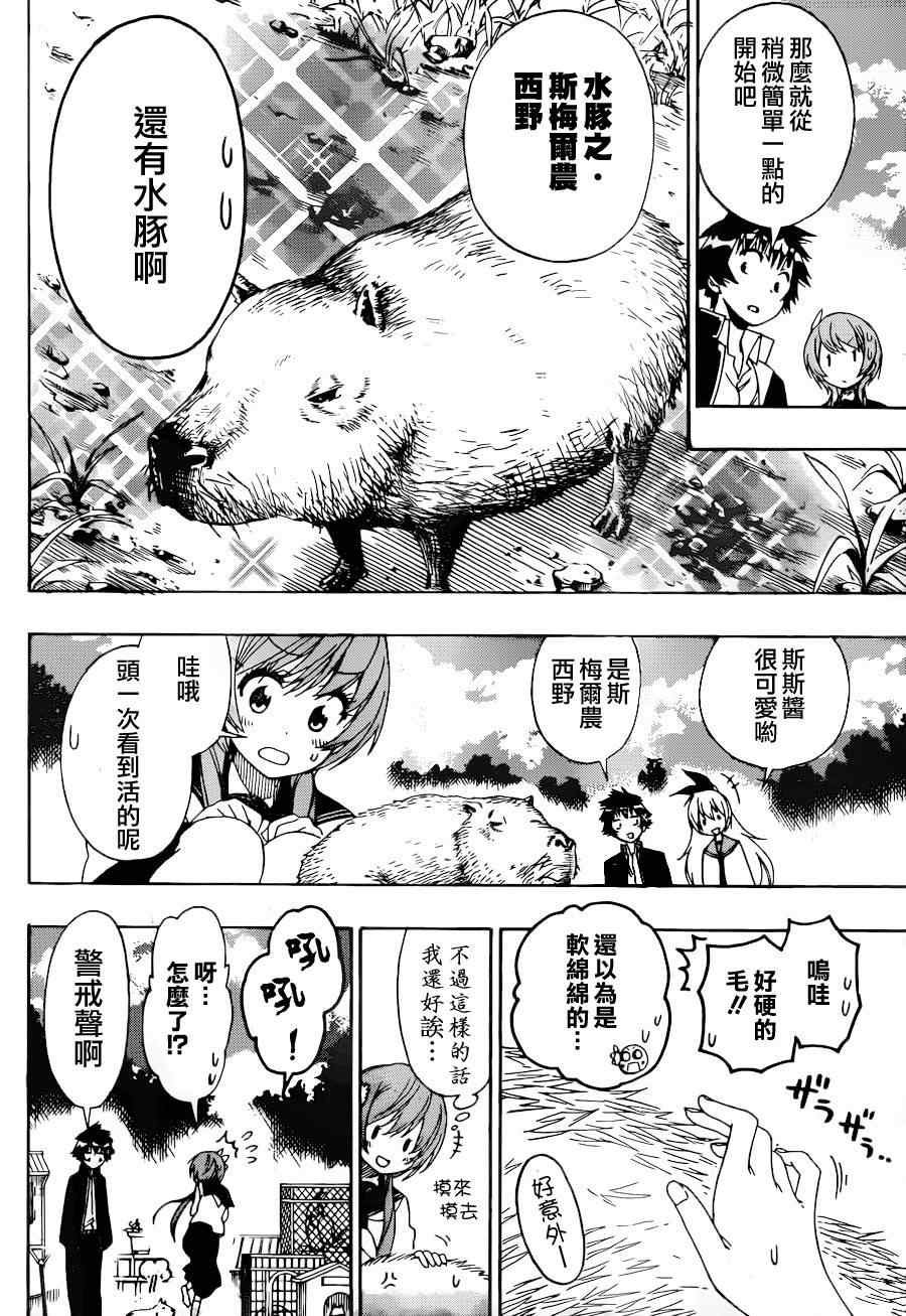 第142话 动物