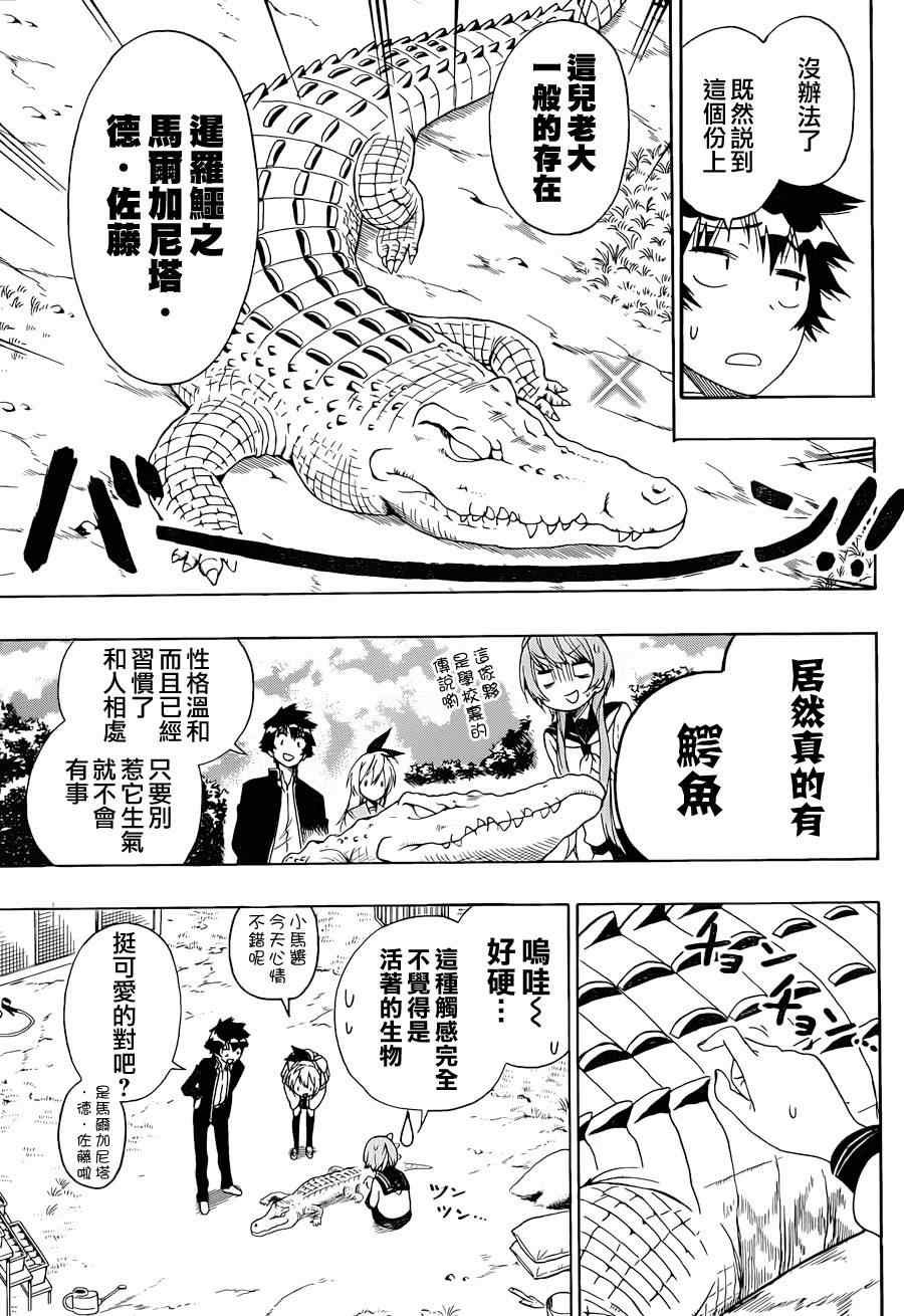 第142话 动物
