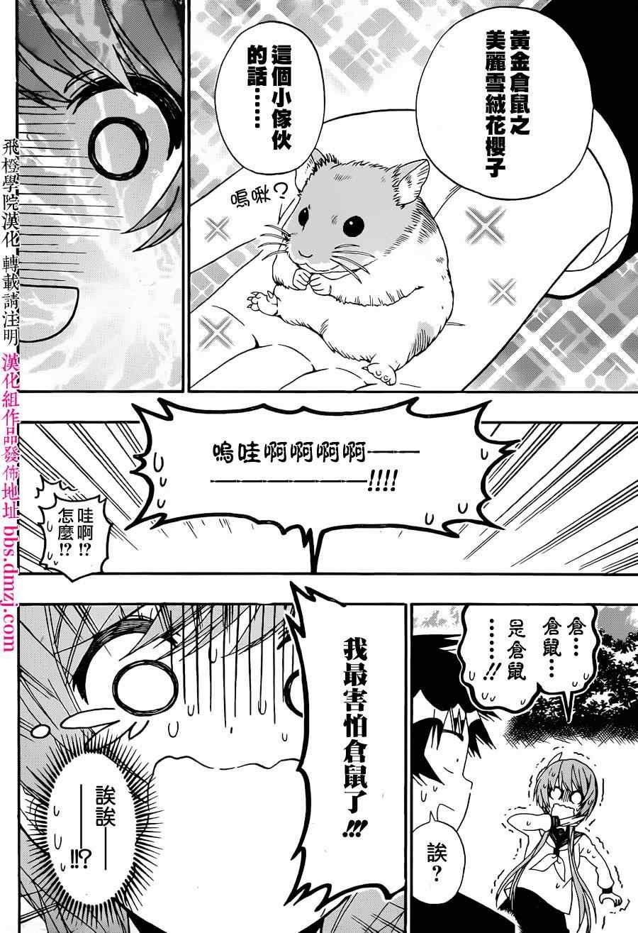 第142话 动物