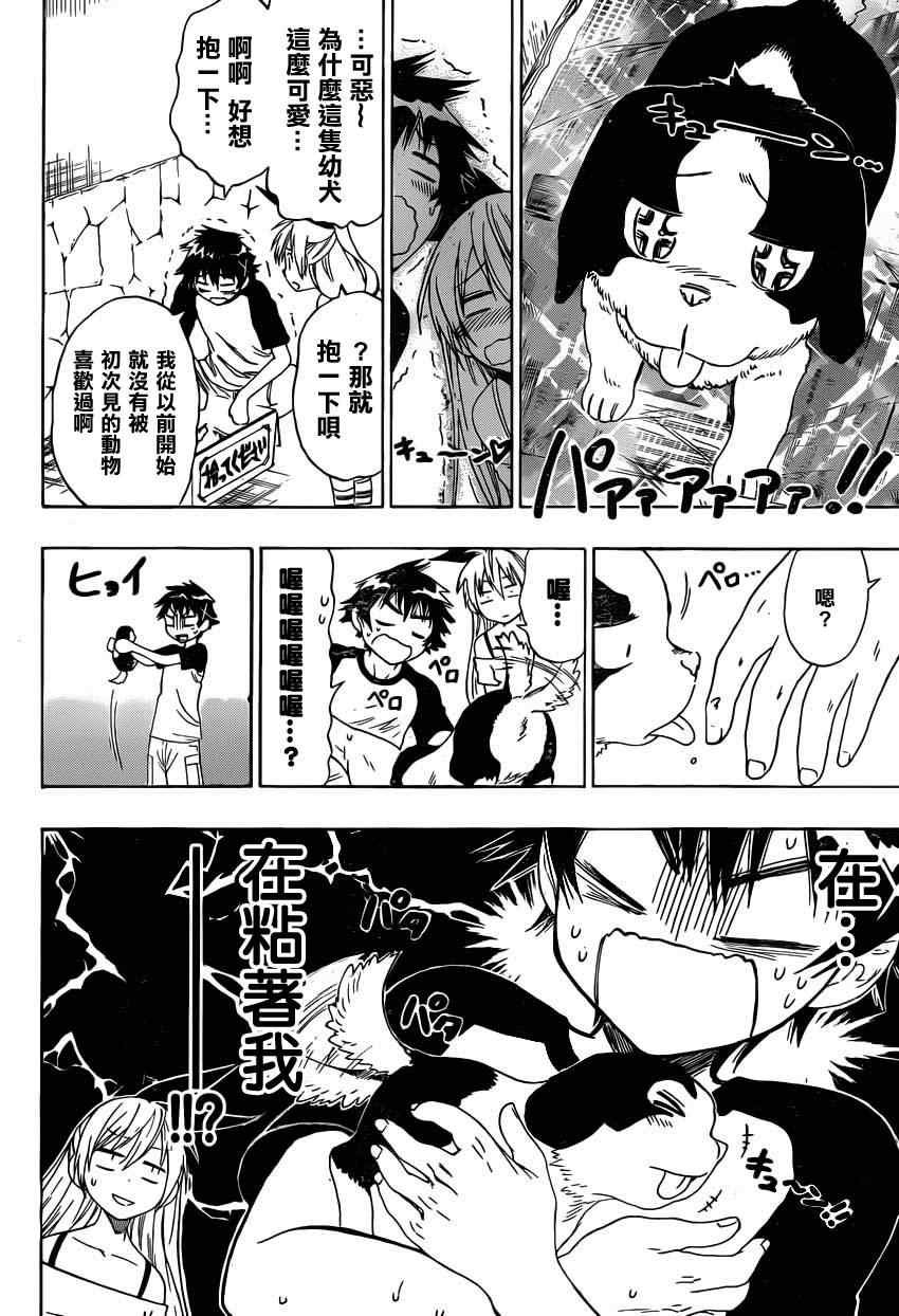 第41话 弃犬