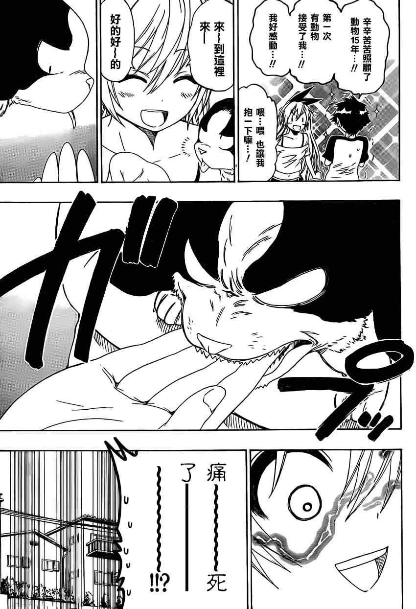 第41话 弃犬