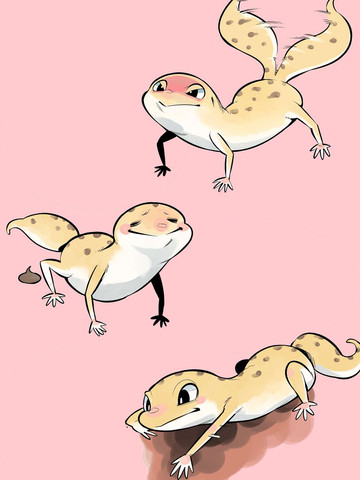 wuliandianfeng-pikapi
