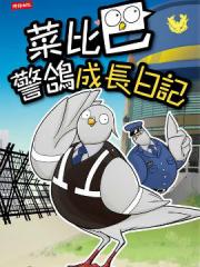 wuliandianfeng-pikapi