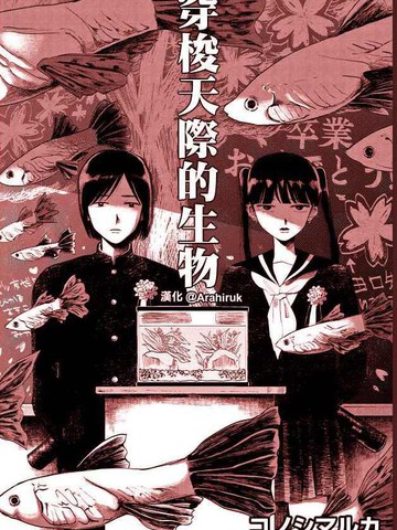 wuliandianfeng-pikapi