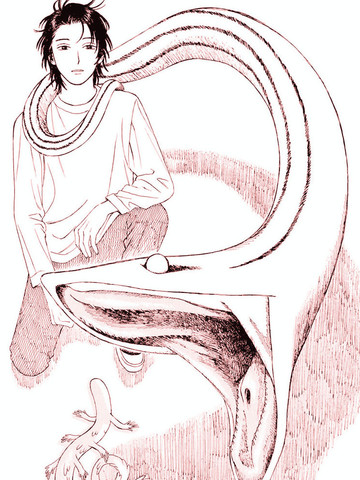 wuliandianfeng-pikapi