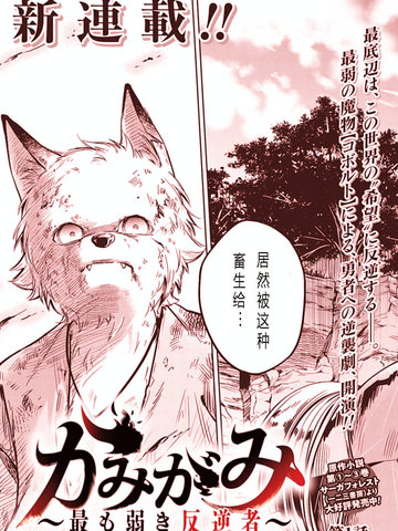 wuliandianfeng-pikapi